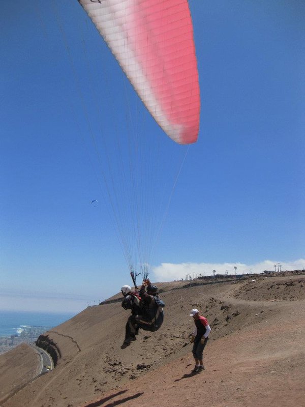 Paragliding in Iquique
