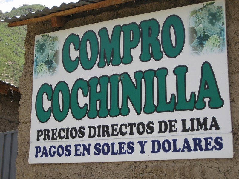 Cottage industry, Cosñirhua