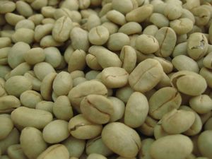 Dried coffee beans, before roasting