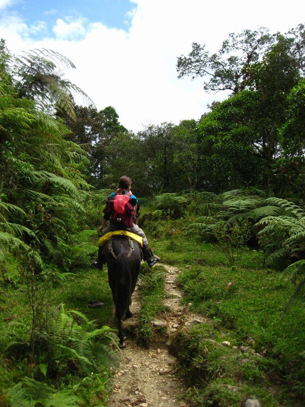 Riding through the lower cloud forest 