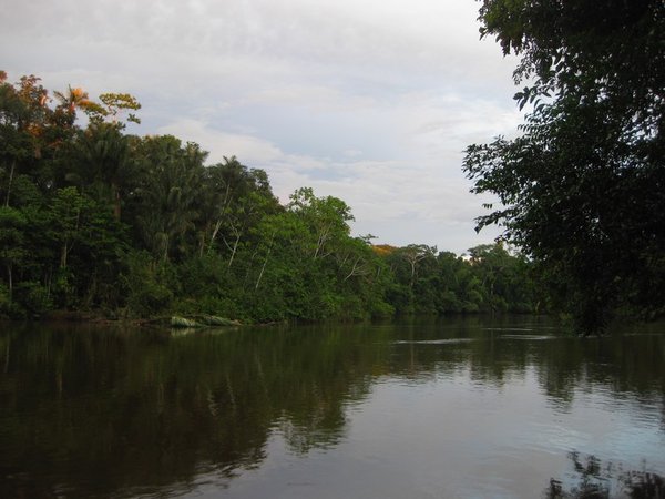 The lazy Cuyabeno River in the evening