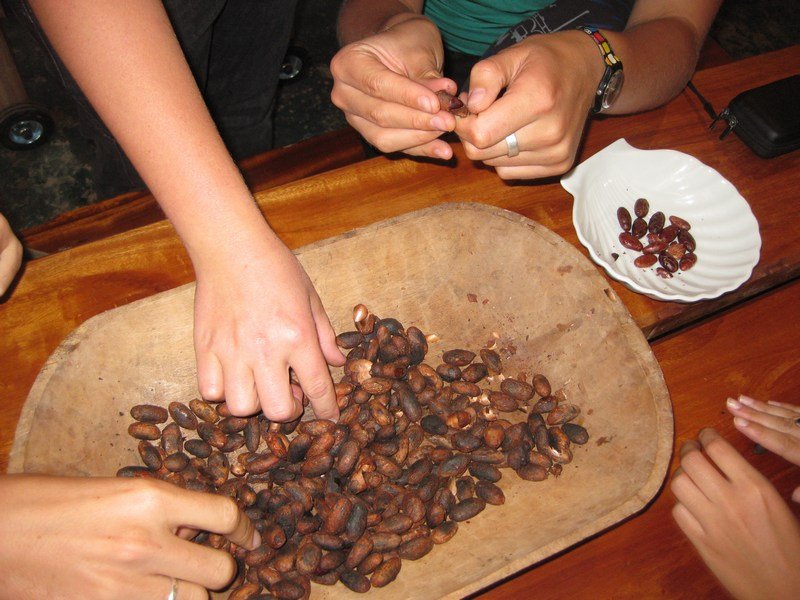 Making chocolate from scratch, Mindo