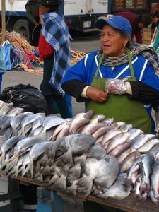 Fresh fish for sale, Saquisilí market