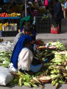 Fresh corn cobs, Saquisilí market