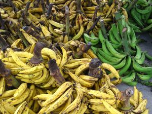 Bananas and plantains, Ecuadorian staples