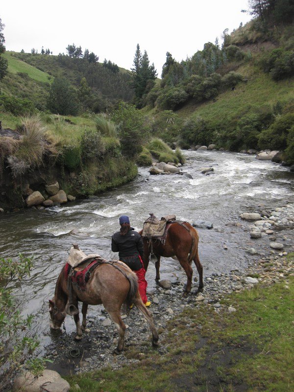 A drink for the horses before heading out towards Parque Nacional Sangay