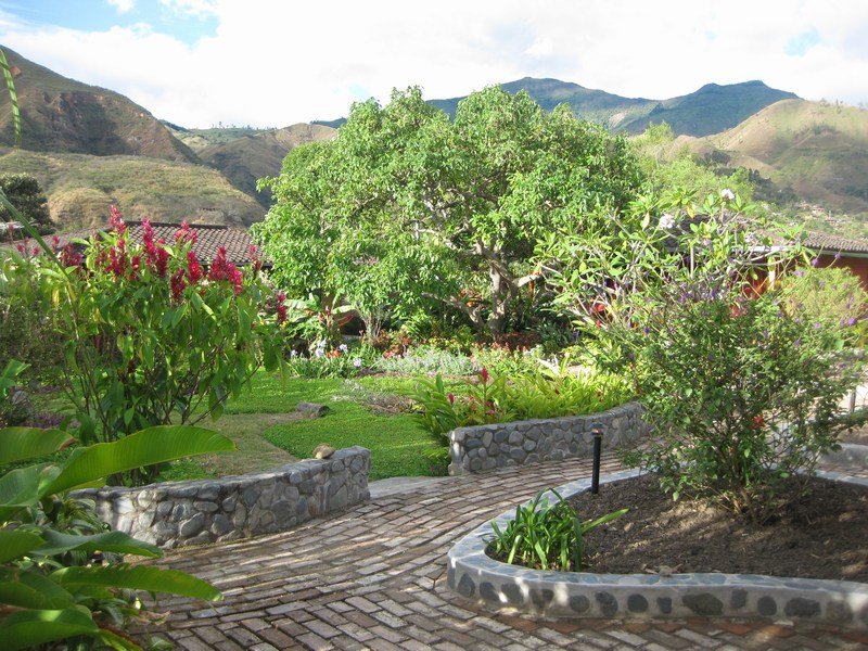 Hummingbird-filled hostel garden, Vilcabamba
