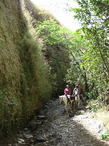 Riding along a stream canyon back to Vilcabamba