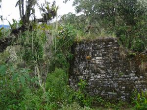 Ruins of La Congona, Leymebamba