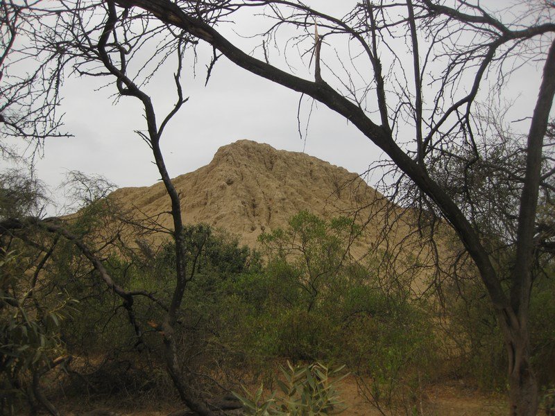 Sicán pyramid in the Bosque de Pómac