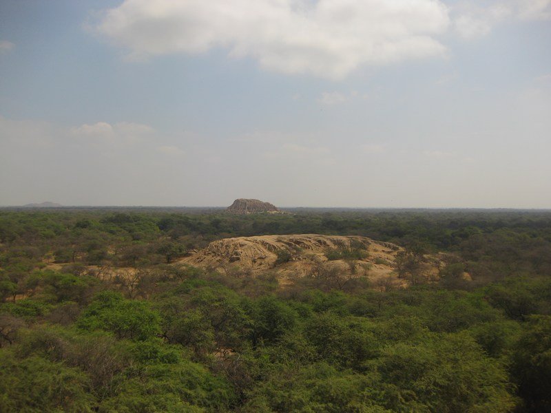 Ancient Sicán archaelogical sites in the Bosque de Pómac
