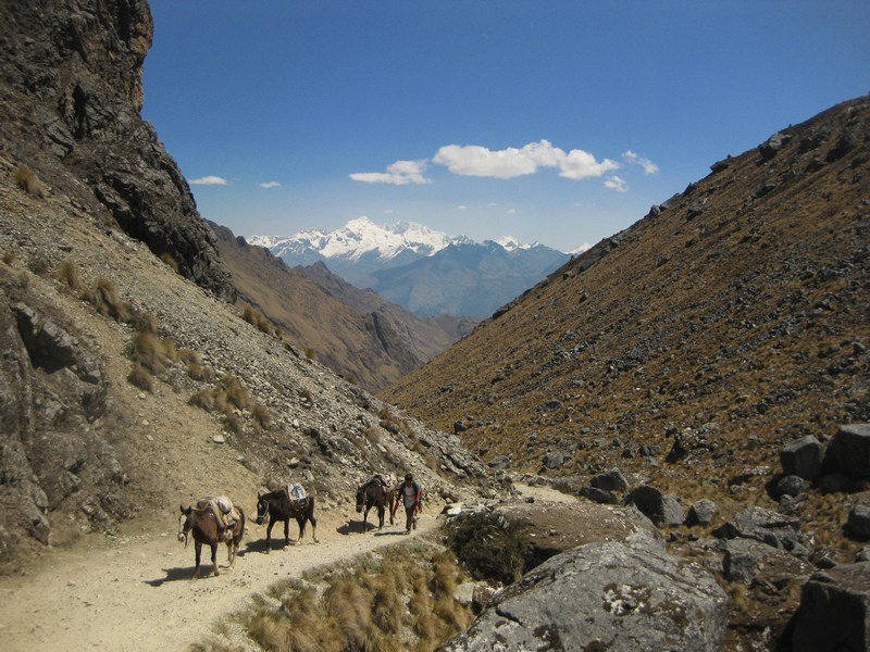 Descending from the Salkantay Pass
