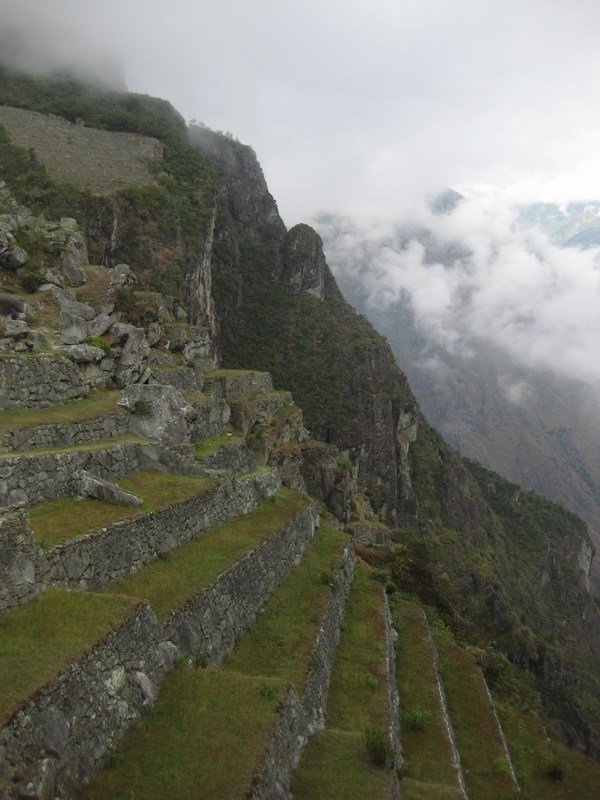 Inca terracing in the mist, Machu Picchu