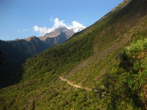 Salkantay Trek - into the jungle