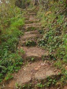 Inca road up to the ruins of Llactapata