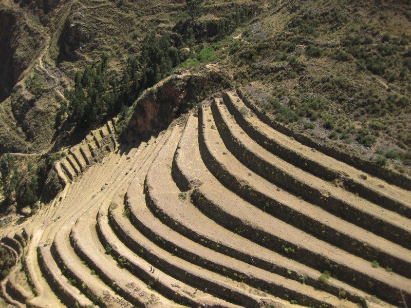 Inca agricultural terracing, Pisac