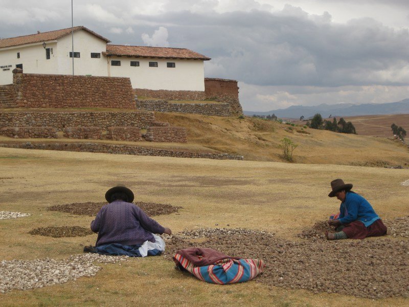 Local women peeling potatoes prior to drying them out in the sun, Chinchero