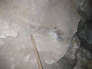 Drilling a dynamite hole - the vein of ore clearly visible
