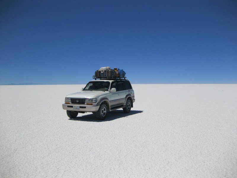 Our trust steed on the salar