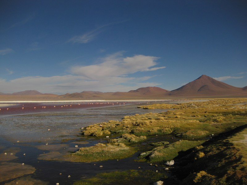 Laguna Colorada