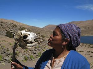 Isabel says hello to a vicuña, Parque Nacional Sajama