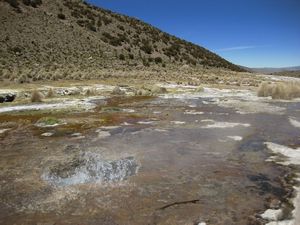 Geothermal field, Parque Nacional Sajama