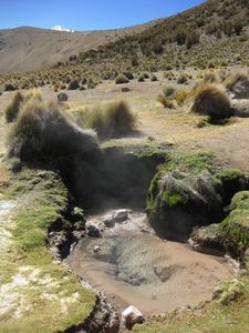 Geothermal field, Parque Nacional Sajama