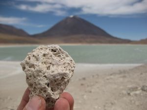 Coral - on the altiplano at 4,000 metres...