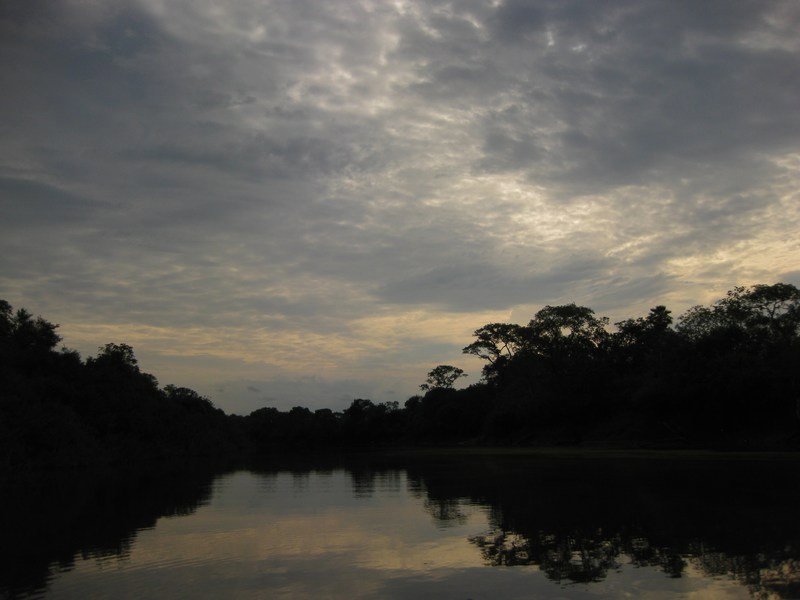 The Pantanal, Mato Grosso do Sul