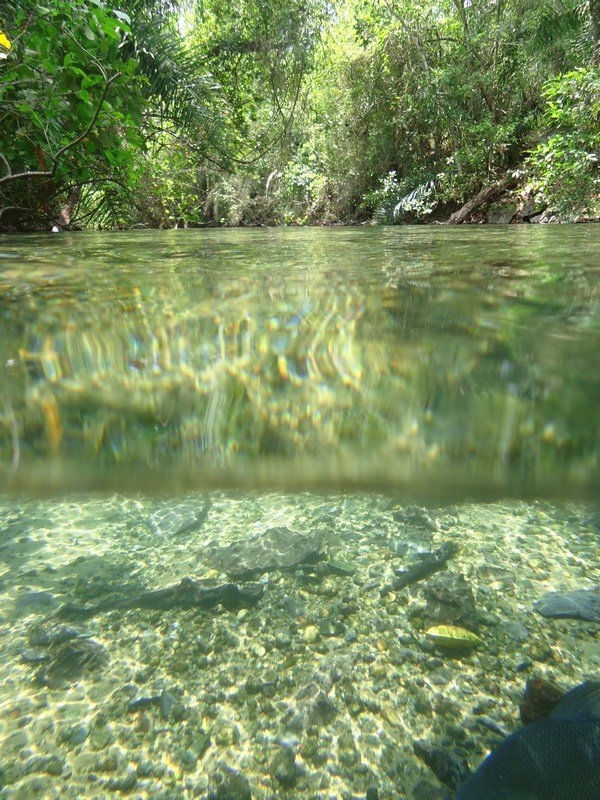 River snorkelling, Rio Olho d'Agua