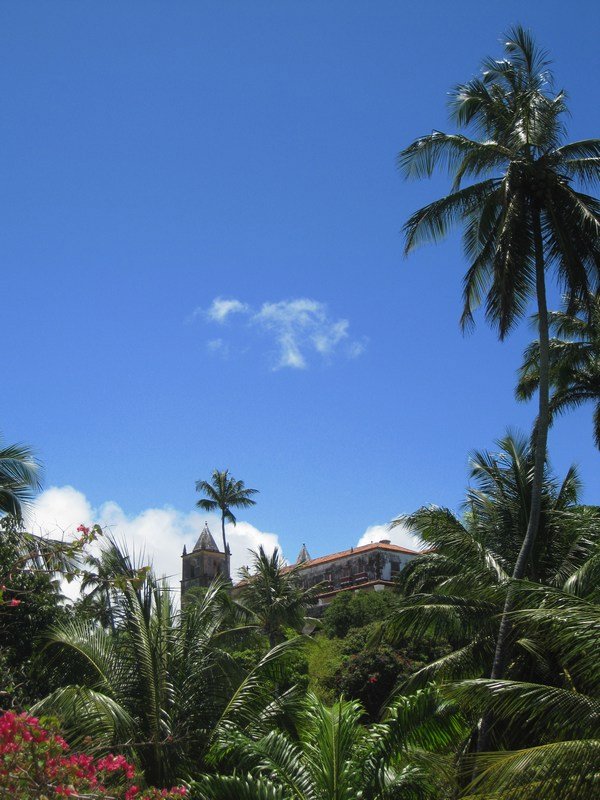 Olinda's cathedral hiding behind the palm trees