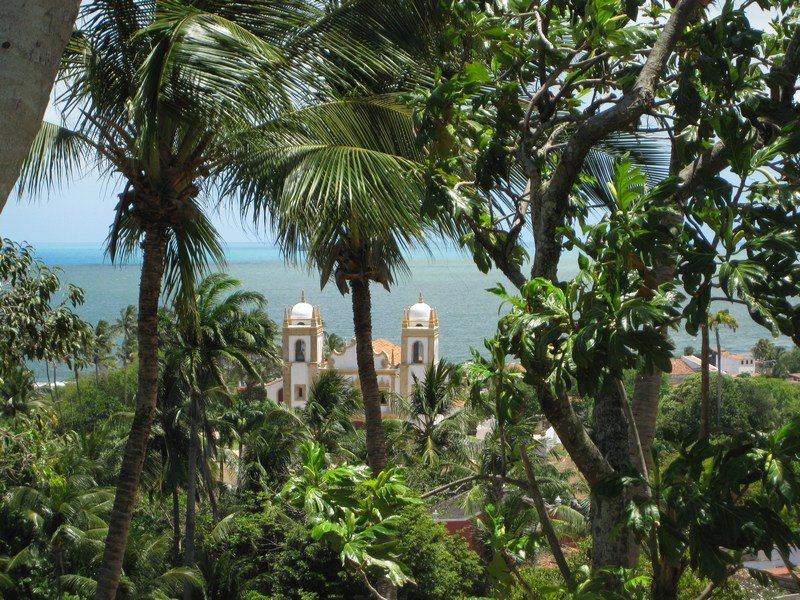 Peeping through the palm trees to the sea