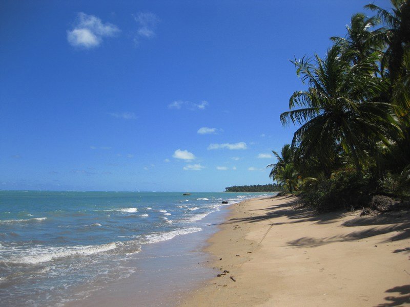 Beach at Japaratinga, Alagoas