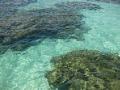 Snorkelling paradise - Galés marine reserve
