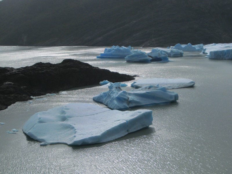 Icebergs on Lago Grey