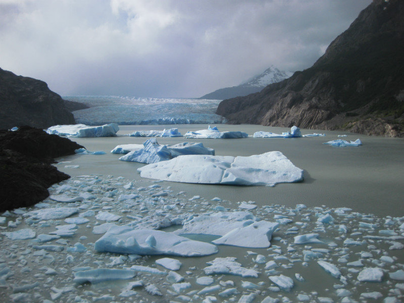 Icebergs calved by Glaciar Grey