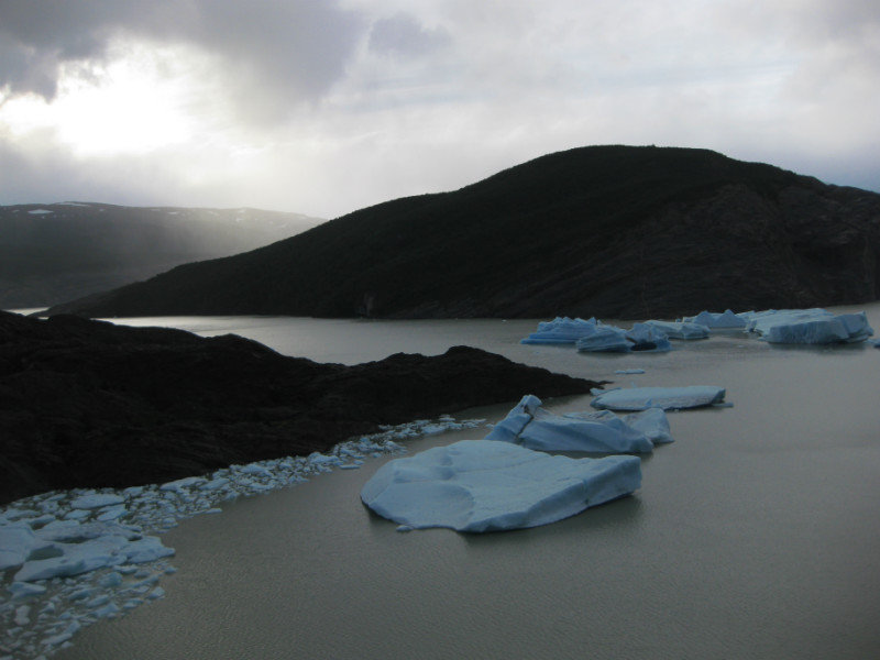 Blue icebergs on Lago Grey