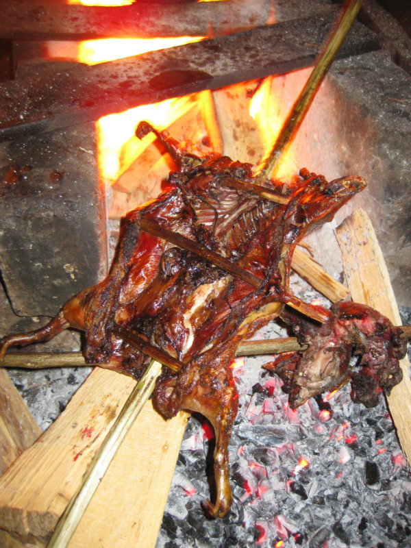 Strange foods: grilled cuy, Colombia