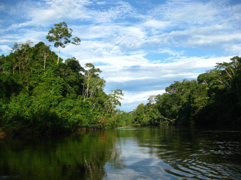 Cuyabeno Reserve, in Ecuador's Oriente