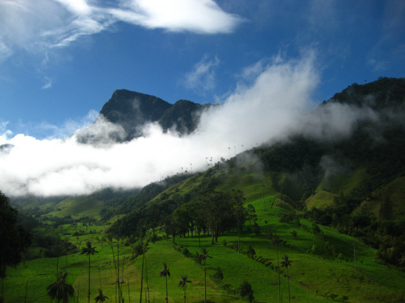 Other-worldly landscapes: Valle de Cocora, Colombia