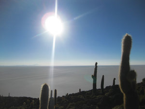 Isla Incahuasi, Salar de Uyuni, Bolivia