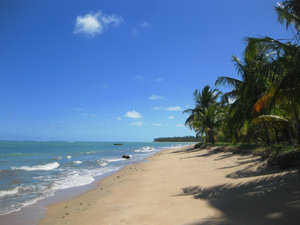 Beach, Alagoas, Brazil