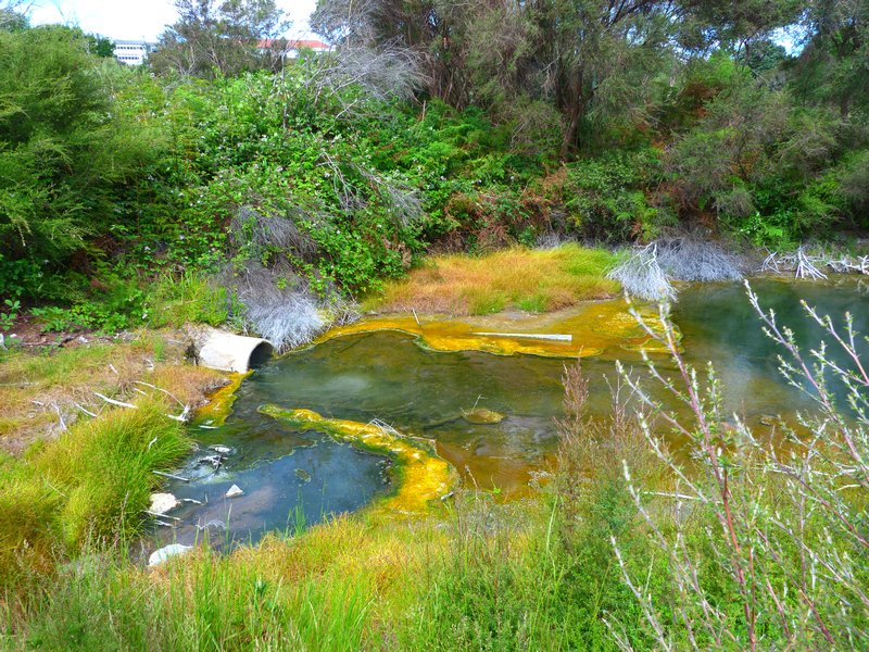really colourful hot pool