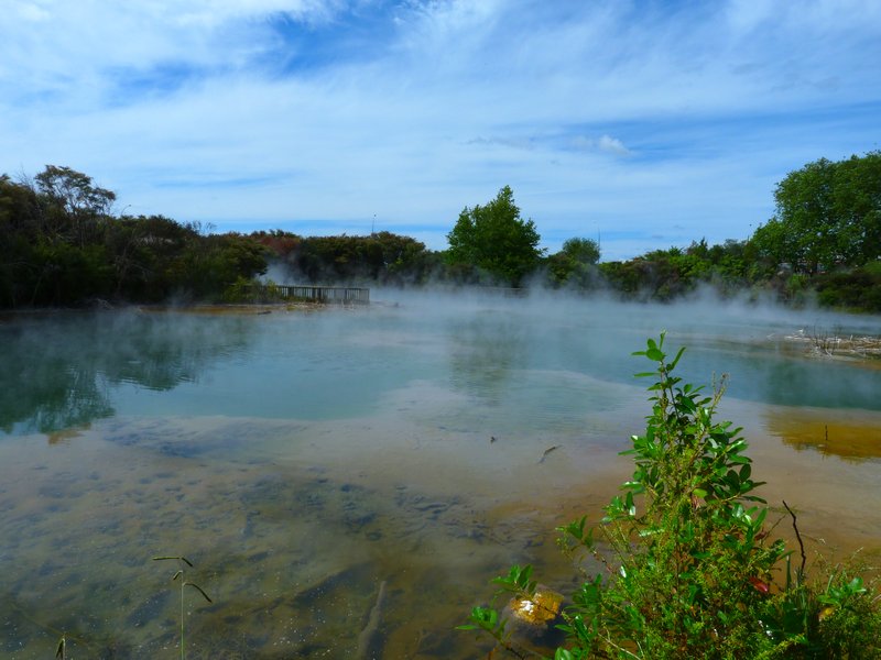 hot pool in Kuirau park 2