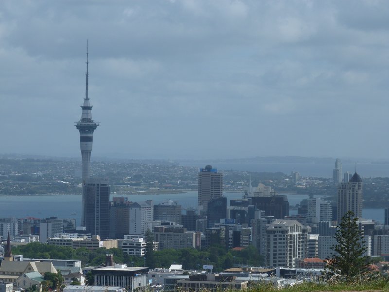 Sky tower Auckland
