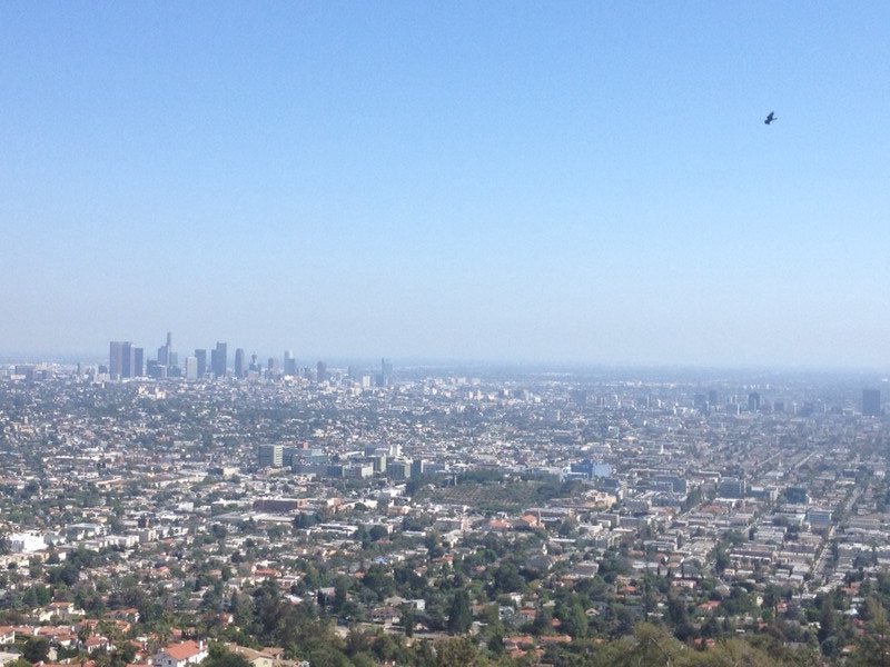 LA from the Griffith Observatory