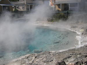 Hot pool at Rotorua