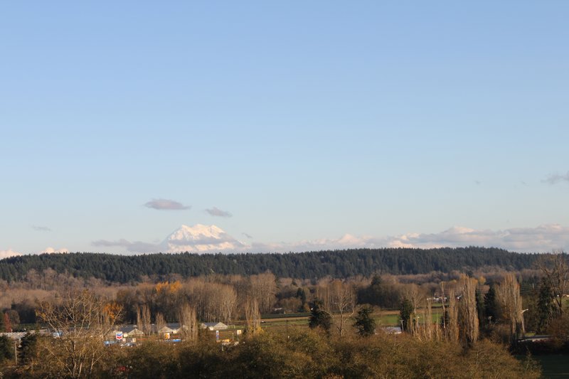 more fields in oregon