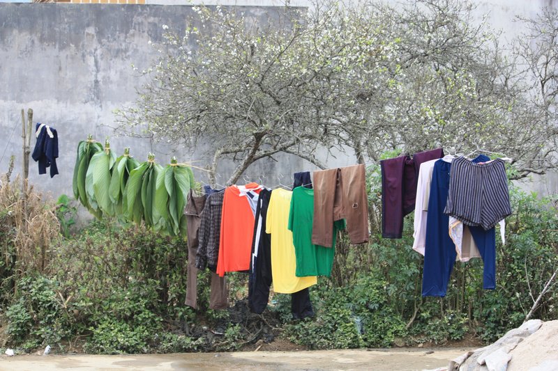drying leaves and clothes