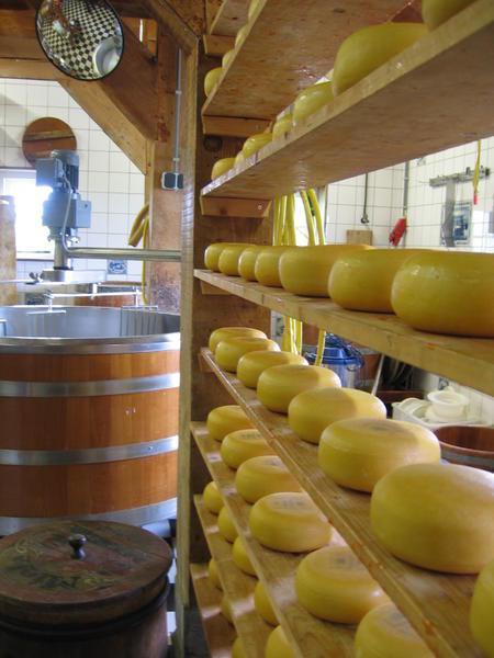 Kaas: Dutch Cheese